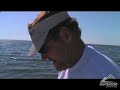 Blackfin tuna fishing in the Dry Tortugas Blackfin tuna fishing in the Dry Tortugas