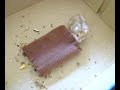 Hamster Beds: Hamster Finds the Bed!