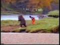 funny videos