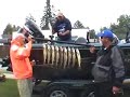 July 21st Walleye
