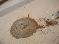 Frikimikos - Yoduro pot�sico + Agua oxigenada