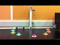 CLARION Robot Simulations