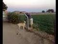 Rickus Lubbe