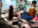 Living dead fish in Chinatown Bangkok.