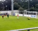 Palmigoal