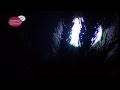 ver trabalho Lua Cheia Sobre a Mata Nacional do Buaco