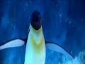 PinguinRap