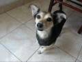 videos de Princesa - escandalosa