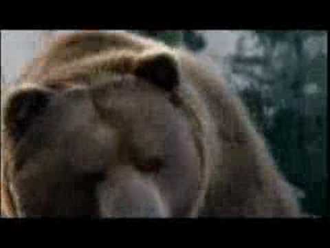nikzarea - A Ad for Bud Light. As seen during the Superbowl!
