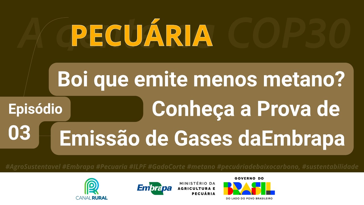 Boi que emite menos metano? Conheça a Prova de Emissão de Gases da Embrapa