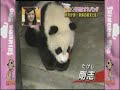 [TSD] 070518e