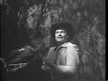 piporro estrella del desello