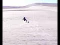 Tino at Glamis!
