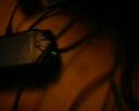 XMB Waves M33 3.51+ XMB Waves M33 3.51+