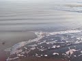 Susana junto al Mar / Richard Clayderman / Fotos propias