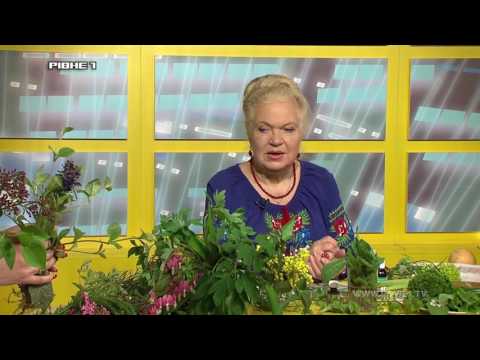 <a href='/Info/?id=81795' >"Зелена планета Земної". Випуск від 16.05.2017</a>