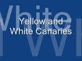 Yellow And White Canaries Yellow And White Canaries