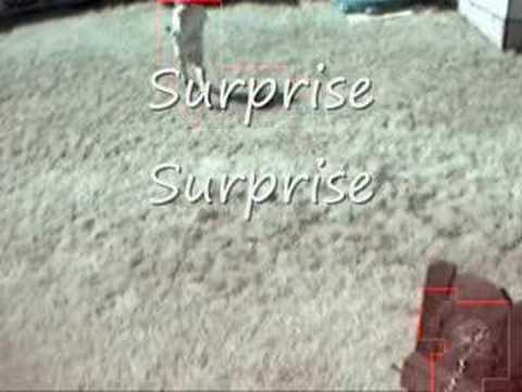 YouTube Preview Image