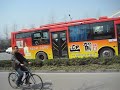 Nanjing Baby