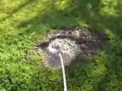 how to prove natural selection