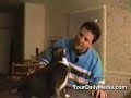 talking cats talking cats