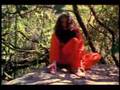 Druidas - la casa en el monte
