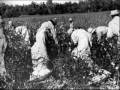 Slavery in America