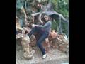 videos de KHALID-LOCO