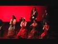 Gala Flamenca