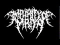 Impurity Of Mriya - The Malevolent (NEW SONG)