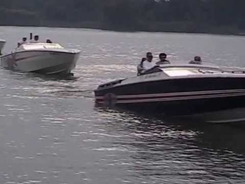 how to get to gull island harvest moon
