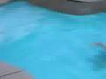 videos de Mason and Mom Swimming