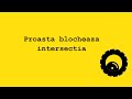 Proasta blocheaza intersectia