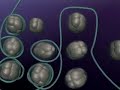 Protein Synthesis, DNA Structure (2) Protein Synthesis, DNA Structure (2)