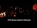 PLAMA 2009 XVII Obrazy Ogniem Malowane