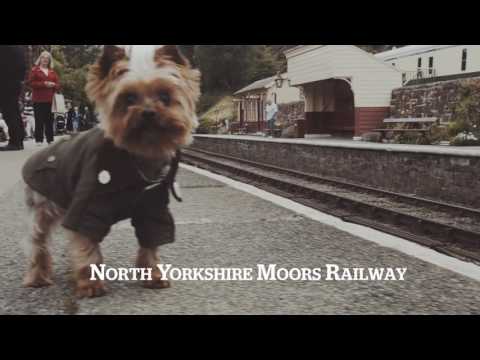 Yorkie's Adventures in York and North Yorkshire - Trailer