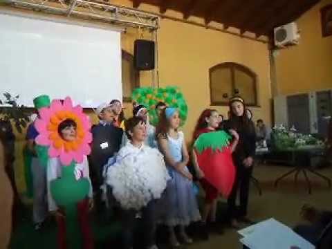 Immagine anteprima YouTube