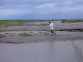 Exploring mud flats 3