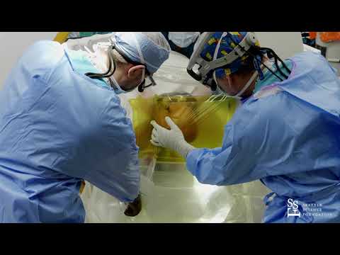 Live Surgery: Deep Brain Stimulation - Ryder P. Gwinn, MD