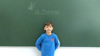 Ya ha llegado la primavera