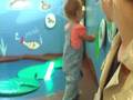 Discovery Museum