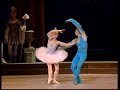 Bluebird Coda Ballet Bluebird Coda Ballet