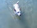 Mobe 7 mths old - first time to beach