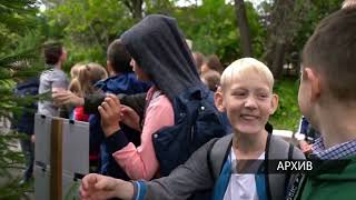 02.07.2020г. Репортаж о лагере Дружба (город Березники) («ТНТ-Березники»)