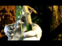 Big Buck Bunny - WMV test