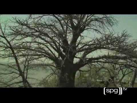 Sheraton Gambia Hotel Resort Spa - Kunta Kinte Village - Gambia