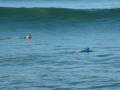 Surfers "Shoot the Pier" in Ocean Beach - NSSA Surf Contest