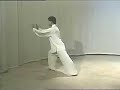 Yang Taiji, Master Yang Jun, 3 part, 02, 103 form