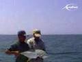 FIshing in Cuba (Jack Crevalle)