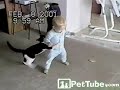 مدهش طفل وقط ومزح يضحك غريب جدا